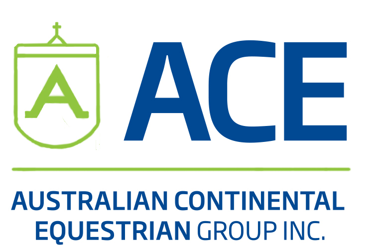 ACE Group Inc