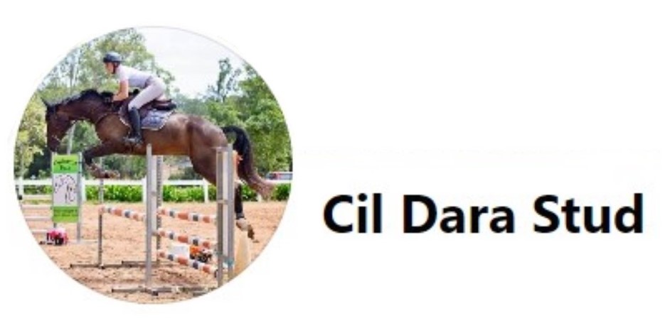 Cil Dara Stud